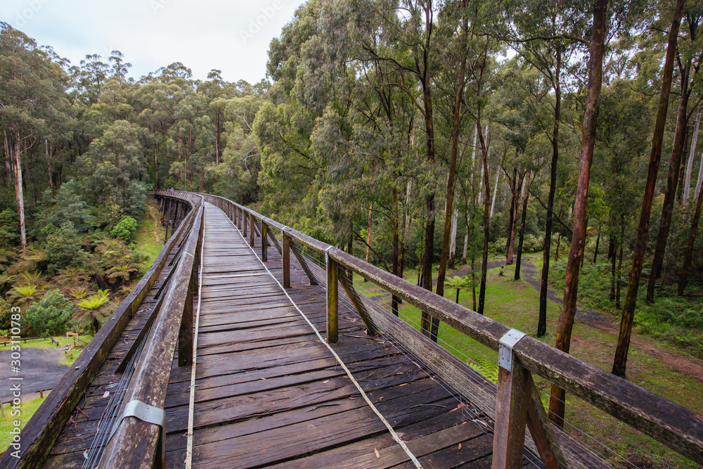 Noojee Trestle Rail Bridge in Victoria Australia