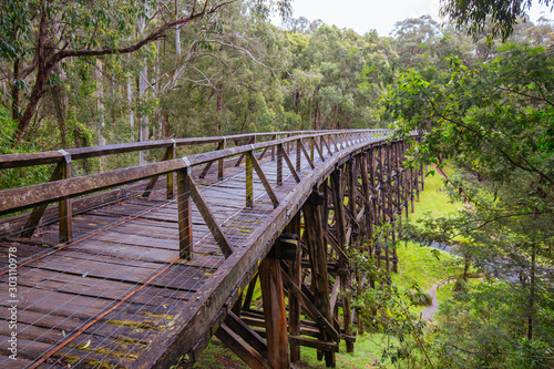 Noojee Trestle Rail Bridge in Victoria Australia photo