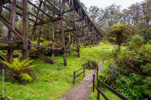 Noojee Trestle Rail Bridge in Victoria Australia Fototapeta