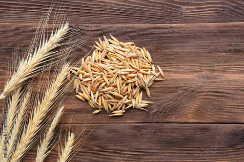 Oats ears and grain on wooden table, top view. Top view. photo