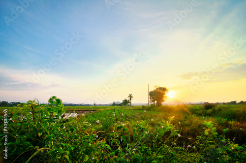 beautiful landscape view in traditional paddy field over sunrise background. Soft focus due to long exposure.