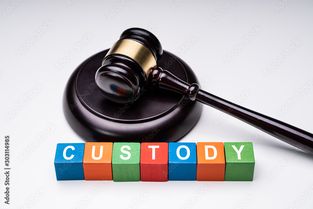 Colorful Cubes With Custody Text Near Gavel On White Background