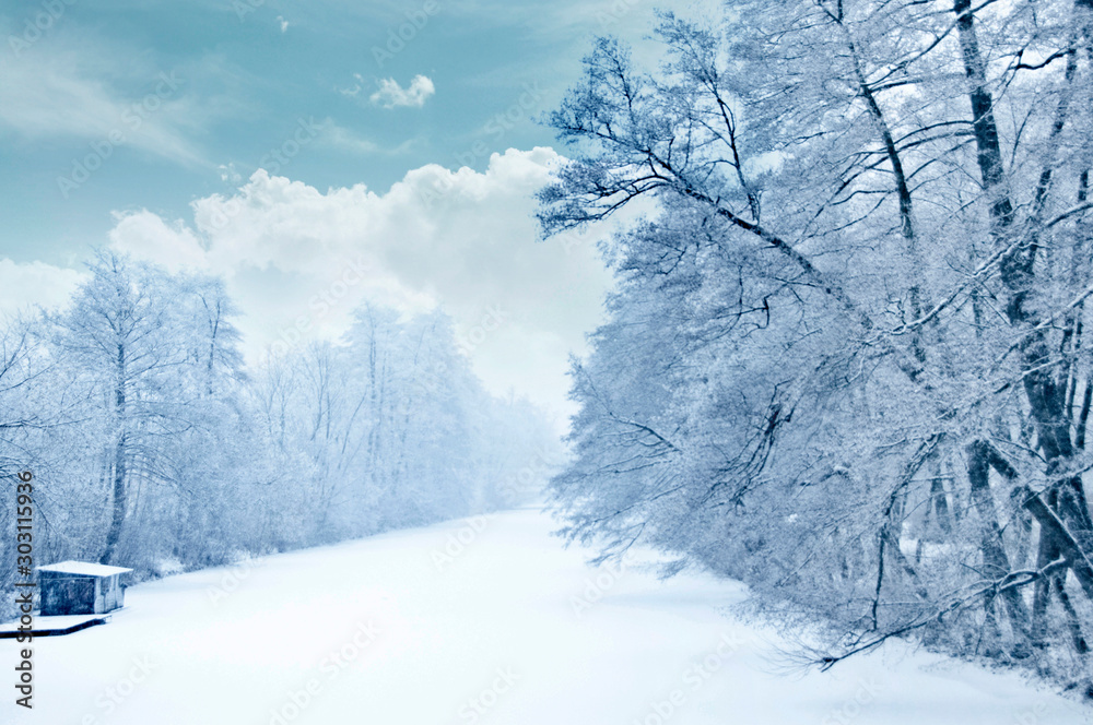 Obraz premium winter landscape with trees covered by snow, cloudy sky and snow path frozen river