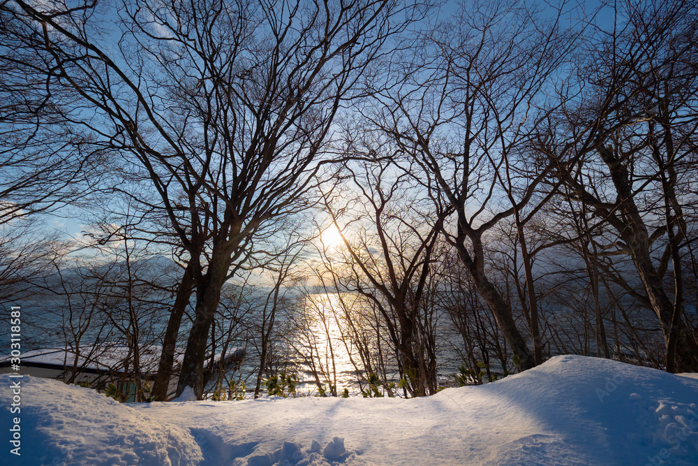 View at sunset time of natural winter trees without leaves at Lake Shikotsu, Chitose, Hokkaido, Japan