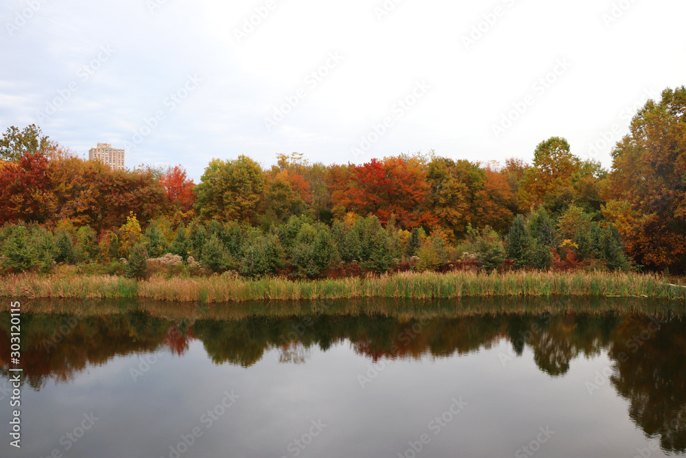 Fall foliage in October in suburban Maryland Fall foliage in October in suburban Maryland