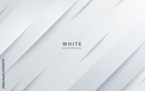 Abstract light silver background vector. Modern diagonal white background.