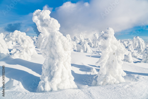 Strange frozen up figures in Sudety mountain in Poland on winter. Trees covered by snow and ice.