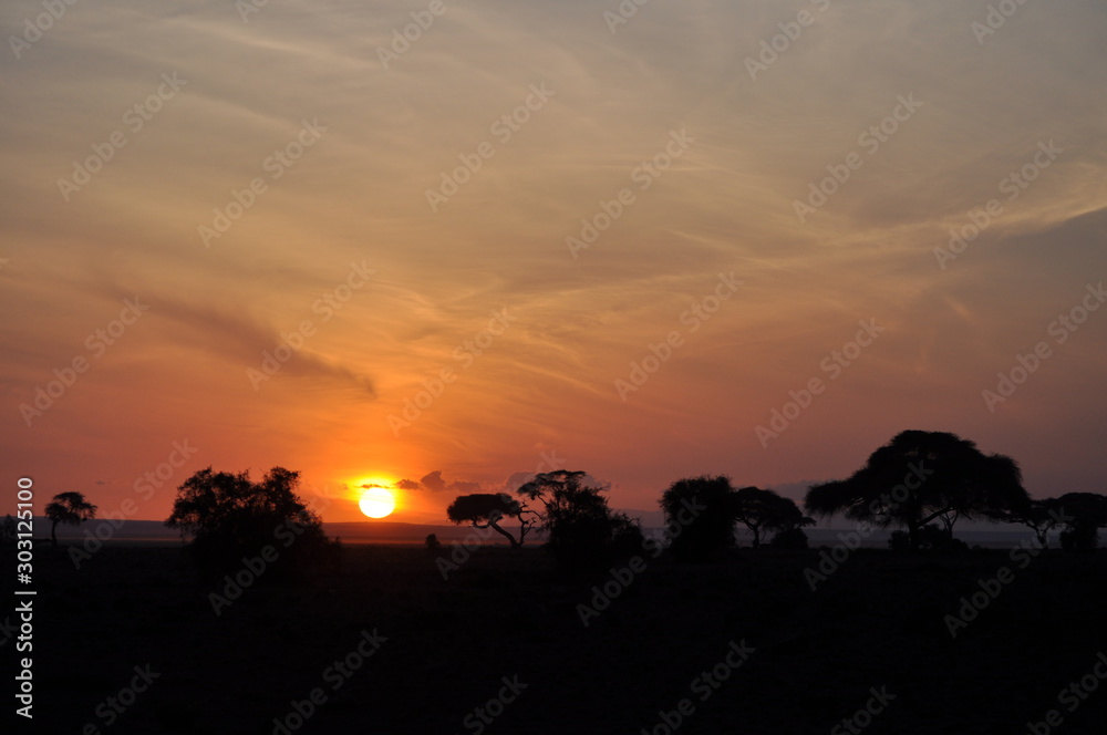 Obraz premium Sunset on the savannah