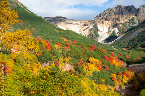 カラフルに色づいた秋の山 © kinpouge