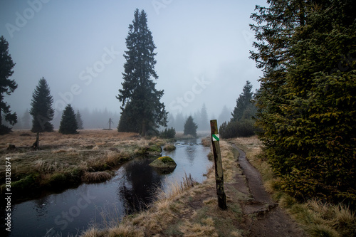 Cold mountain creek with misty cloudy mood, Jizera Mountains, Czech Republic