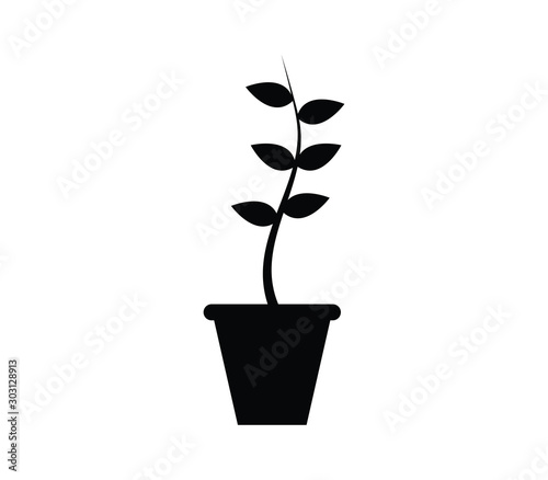 plant icon with pot