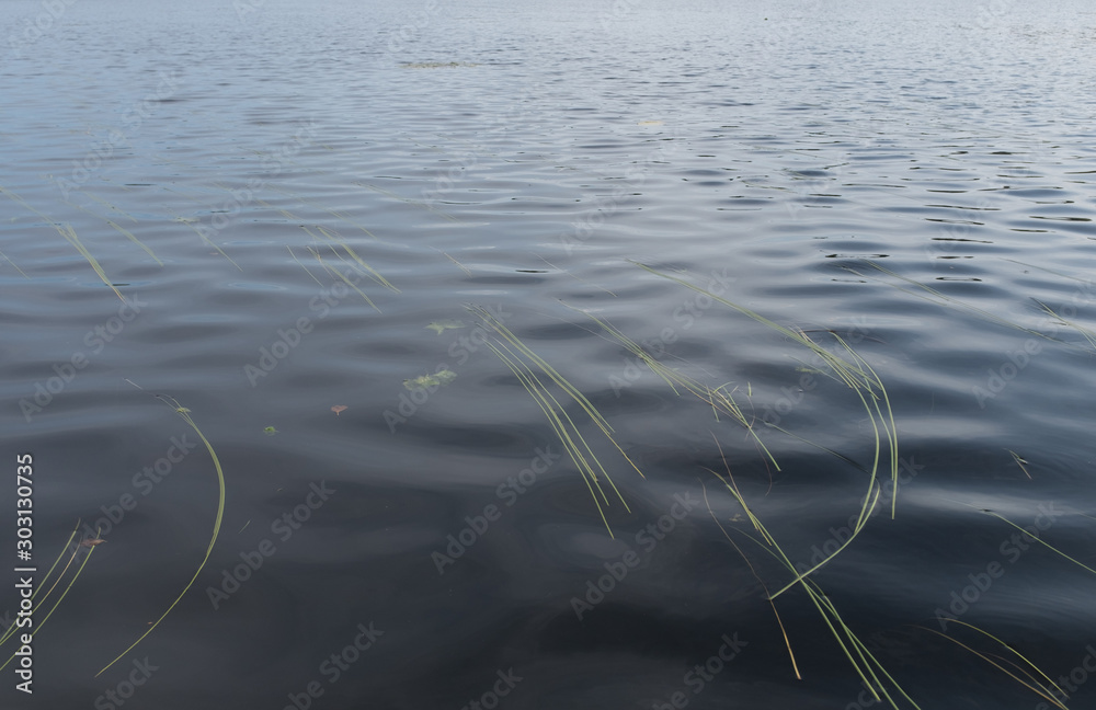 Water environment nature blue pure water Water environment nature blue pure water
