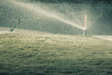 Garden sprinkler on the green lawn stock photo
