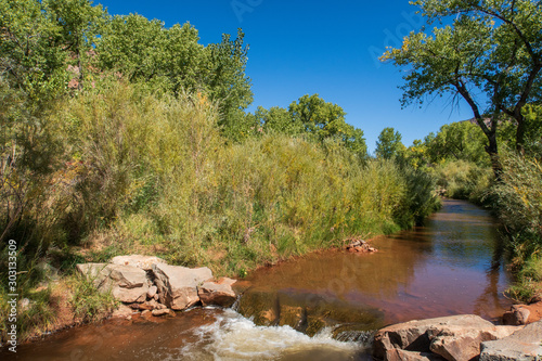 Landscape of Jemez River and trees near Jemez Springs New Mexico photo