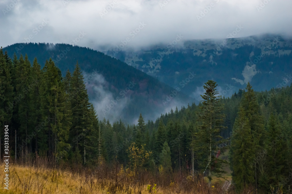 Autumn landscape background in the rain weather with fog Autumn landscape background in the rain weather with fog