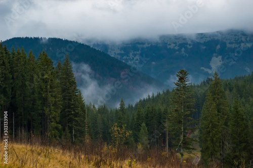 Autumn landscape background in the rain weather with fog © thaarey1986