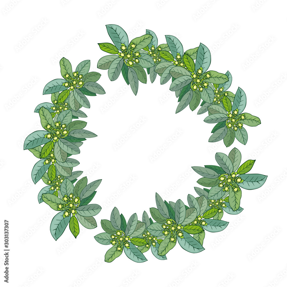 Fototapeta premium Tropical circular frame with hand drawn green leaves of blooming ficus on white background. Modern tropics round wreath. Flyer design. Botanical circle template. illustration