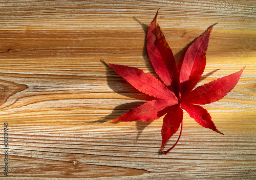 Japanese red maple leaf in autumn on a textured wooden background.