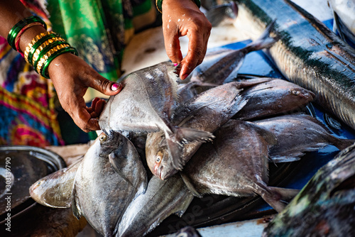 Canvas Print fish market in Mumbai