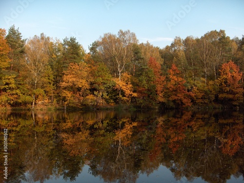 the river during autumn