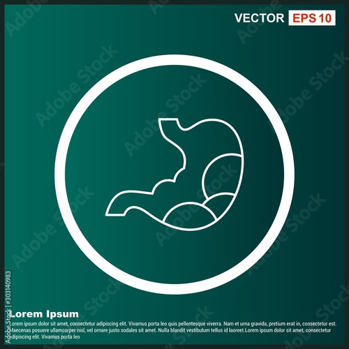  Stomach icon for your project