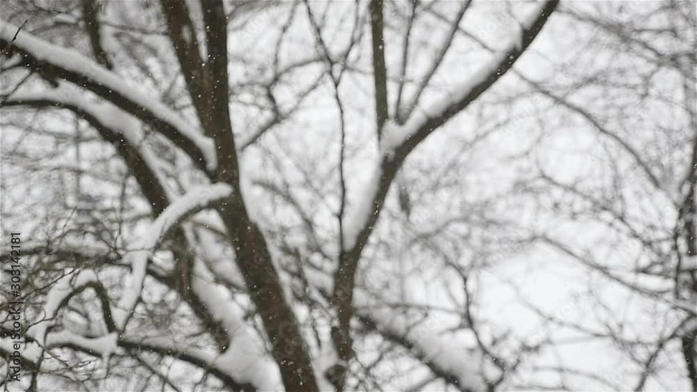 It's snowing outside. Winter season. Blurred silhouette of a man walks in the background. Slow motion It's snowing outside. Winter season. Blurred silhouette of a man walks in the background. Slow motion