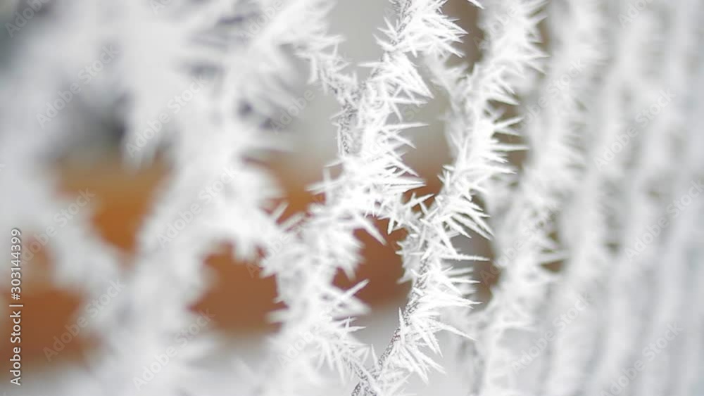 Snow, humid air and light frost create unique patterns on trees, snow-covered plants and fences._11 Snow, humid air and light frost create unique patterns on trees, snow-covered plants and fences._11