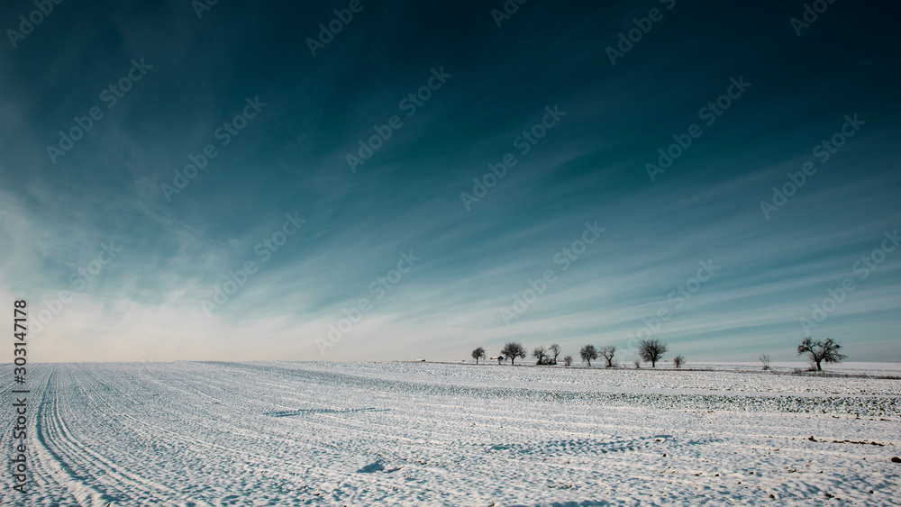 winter landcape