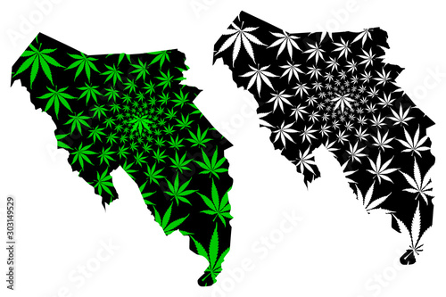 Blaenau Gwent (United Kingdom, Wales, Cymru, Principal areas of Wales) map is designed cannabis leaf green and black, Blaenau Gwent County Borough map made of marijuana (marihuana,THC) foliage.... photo