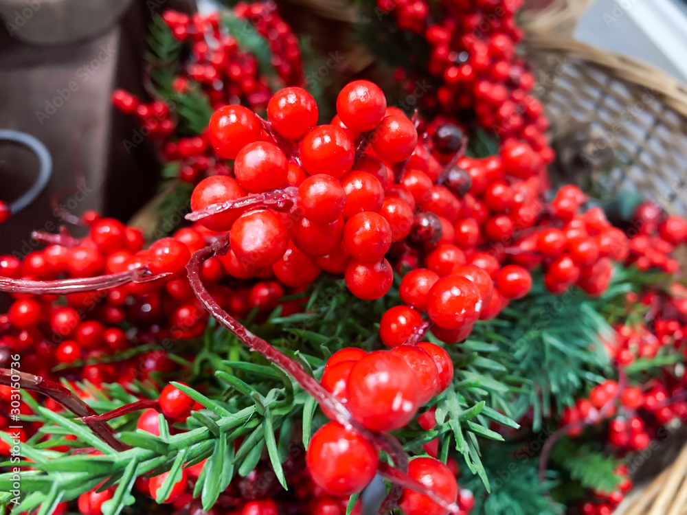 Many branches of Holly berries as a symbol of christmas and new year celebration Many branches of Holly berries as a symbol of christmas and new year celebration