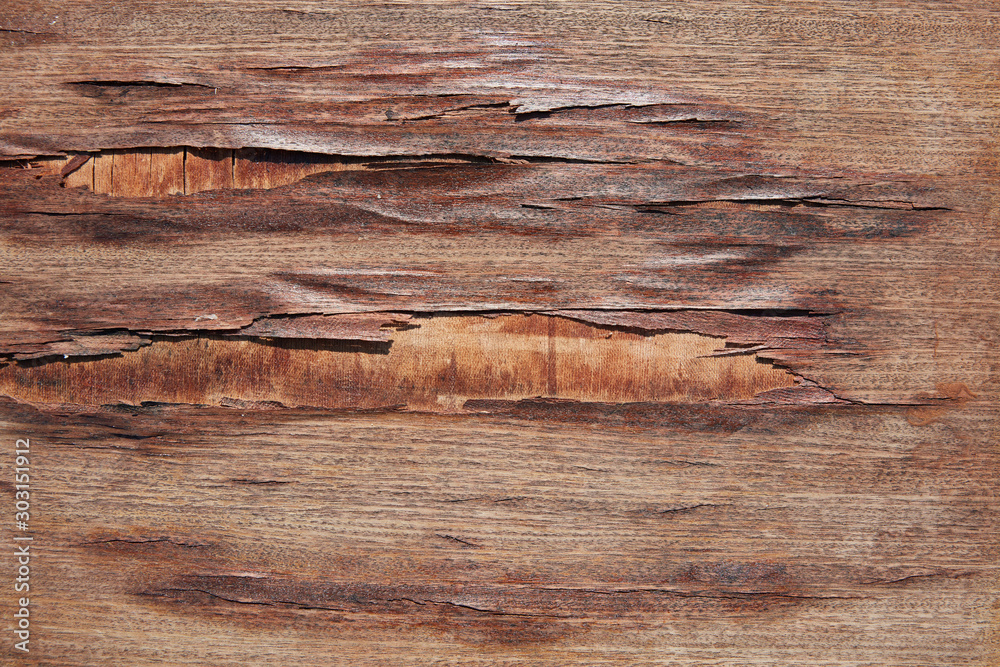 Naklejka premium Weathered wooden floor texture background