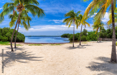 Florida keys with palm trees on sunny beach. Panorama of Summer vacation and tropical beach concept.
