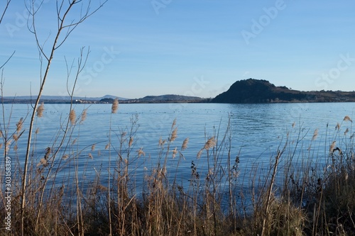 landscape and view of Lake Bolsena  province of Viterbo  Lazio  Italy