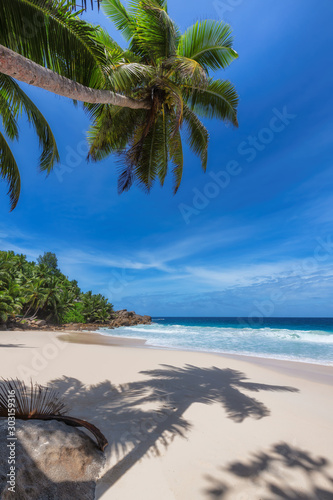 Fototapeta Naklejka Na Ścianę i Meble -  Sunny tropical beach background. Summer vacation and tropical beach concept.  