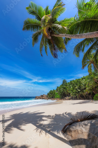 Sunny tropical beach background. Summer vacation and tropical beach concept.  