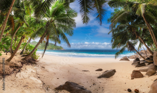 Fototapeta Naklejka Na Ścianę i Meble -  Tropical exotic beach with coconut palm trees on blue ocean beach in Paradise island.