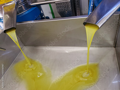 Foto Genuine Olive Oil mill industry,extraction machine, extra virgin oil liquid flow