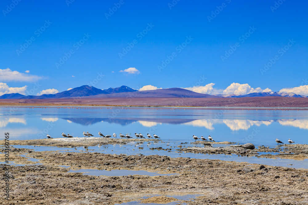 Landscape of the majestic Andes mountain range in Bolivia, South America