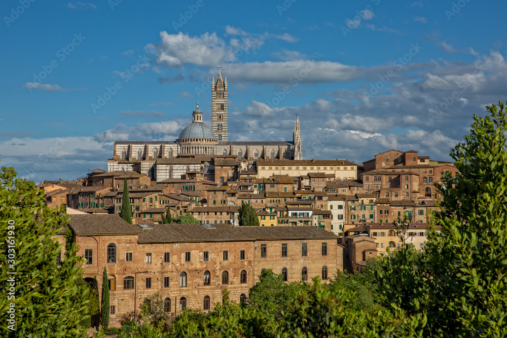 Fototapeta premium Old houses in historic centre in Siena. The Duomo Santa Maria Assunta (Cathedral of Siena) is located on the highest point of the city hillin Siena, Tuscany, Italy