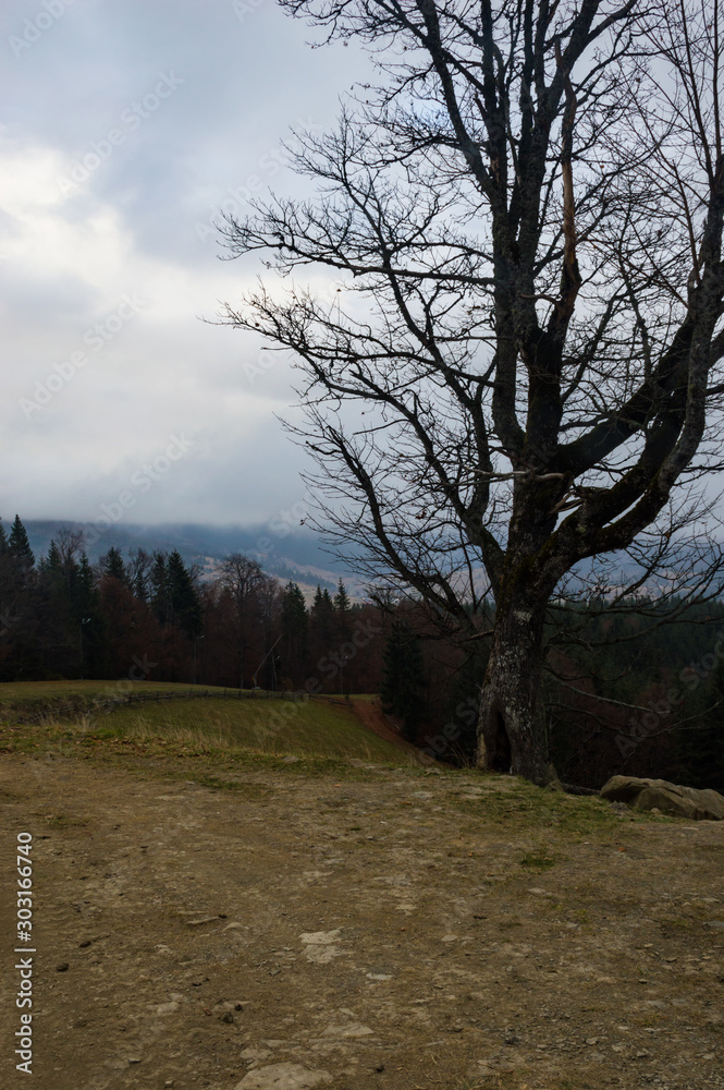 Autumn landscape background in the rain weather with fog Autumn landscape background in the rain weather with fog