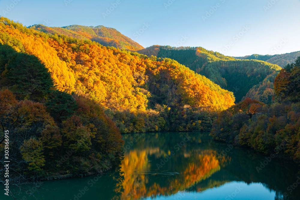西日で輝く秋のもみじ湖