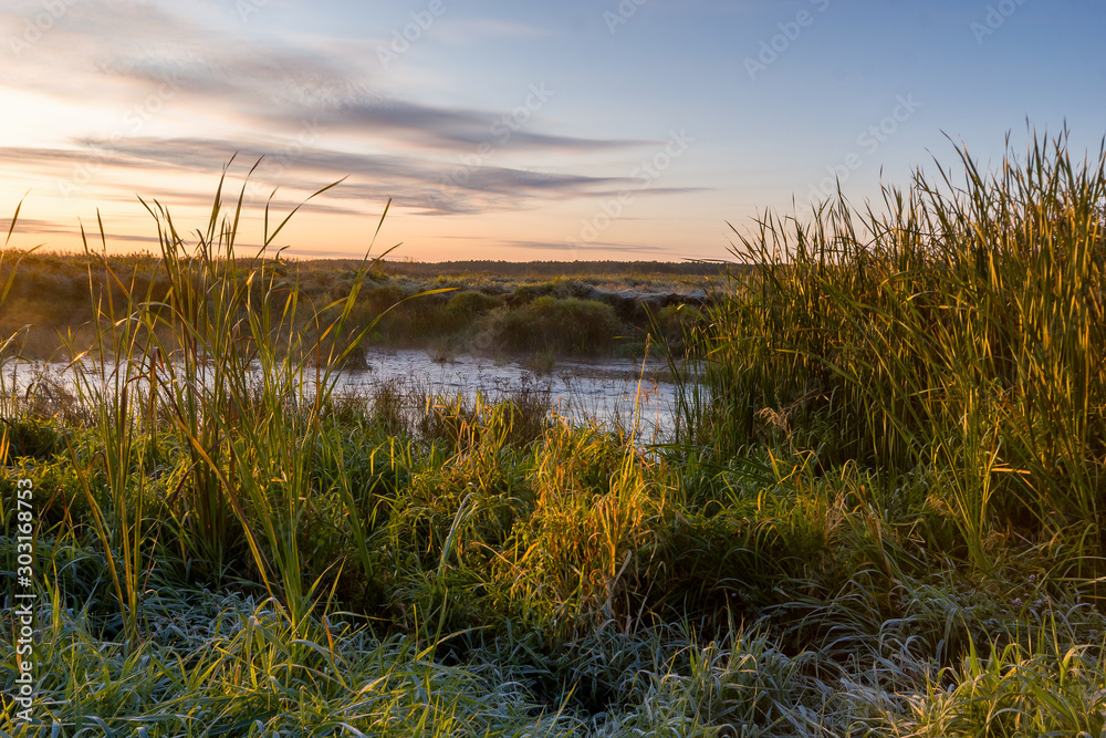 Narwiański Park Narodowy, Rzeka Narew, Podlasie, Polska Narwiański Park Narodowy, Rzeka Narew, Podlasie, Polska