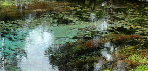 Pupu Springs te waikoropupu in Neuseeland