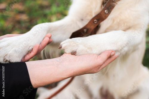 woman and her dog holding hands outdoors