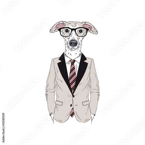Humanized Italian Greyhound breed dog dressed up in office outfits. Design for dogs lovers. Fashion anthropomorphic doggy illustration. Animal wear suit, tie, glasses. Hand drawn vector.