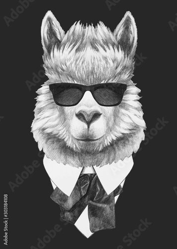 Portrait of Llama in suit. Hand-drawn illustration. Vector isolated elements.	