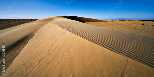 Fototapeta Naklejka Na Ścianę i Meble -  Sand Dunes in the Southwest Desert