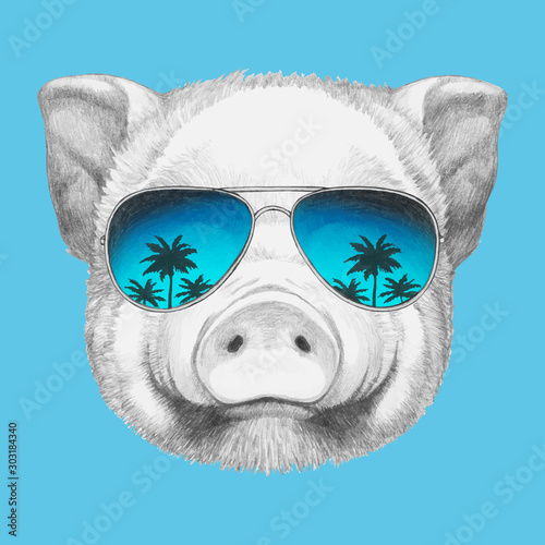 Portrait of Pig with sunglasses. Hand-drawn illustration. Vector isolated elements.	