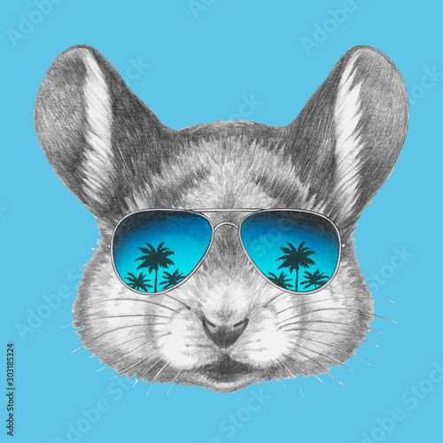 Portrait of Mouse with sunglasses. Hand-drawn illustration. Vector isolated elements.	