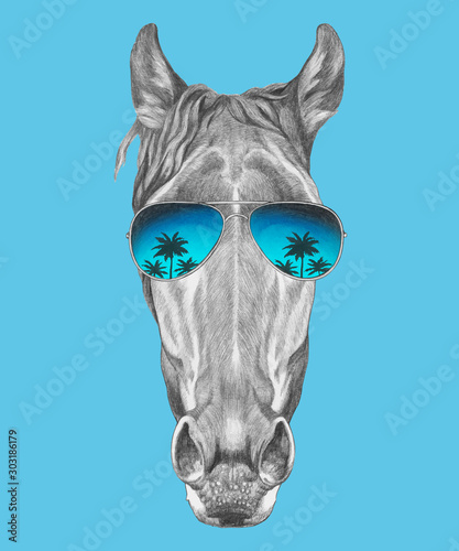 Portrait of Horse with sunglasses. Hand-drawn illustration. Vector isolated elements.	